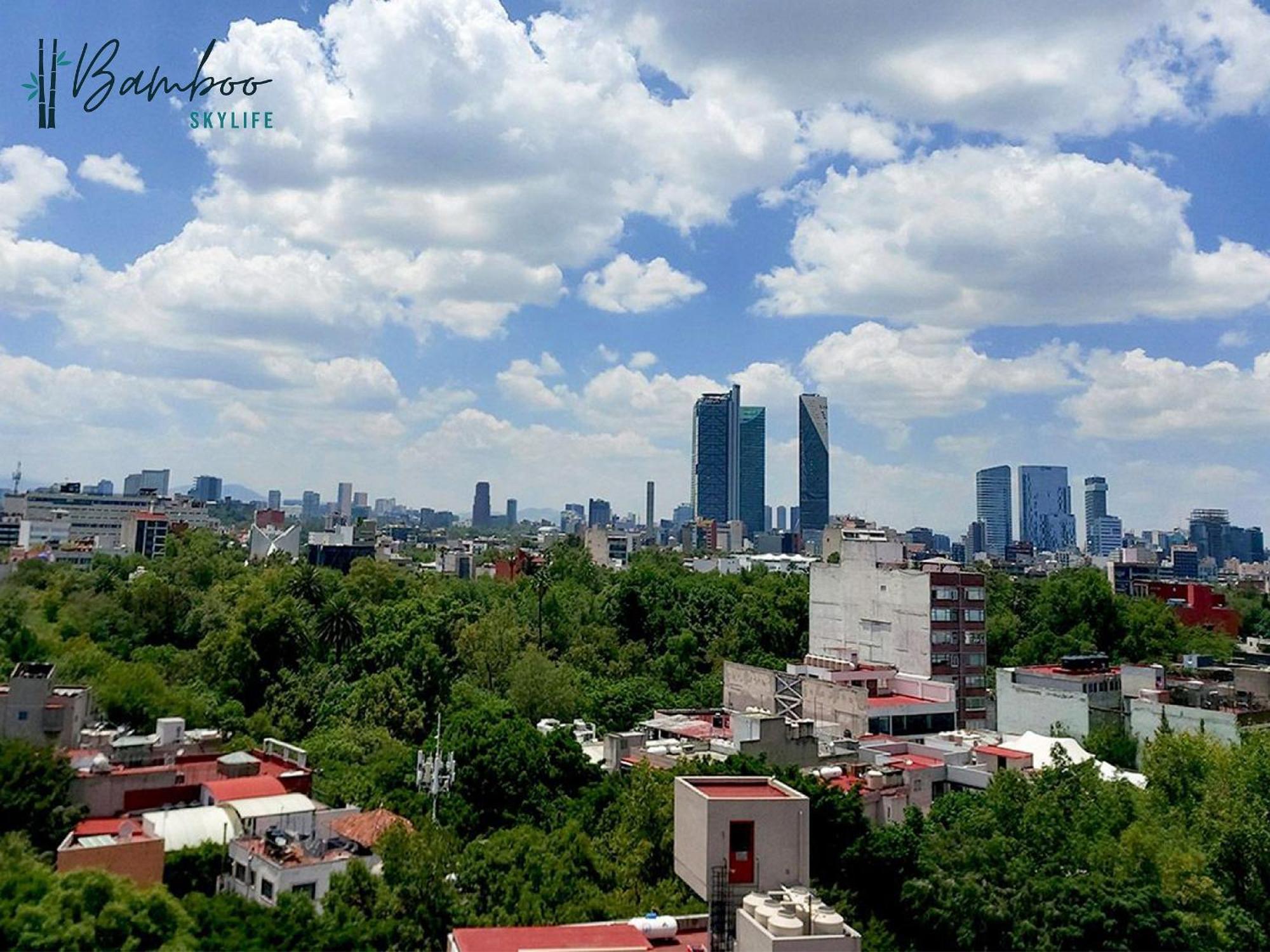 מקסיקו סיטי Amazing City Views Condesa Roma By Bamboo Skylife מראה חיצוני תמונה